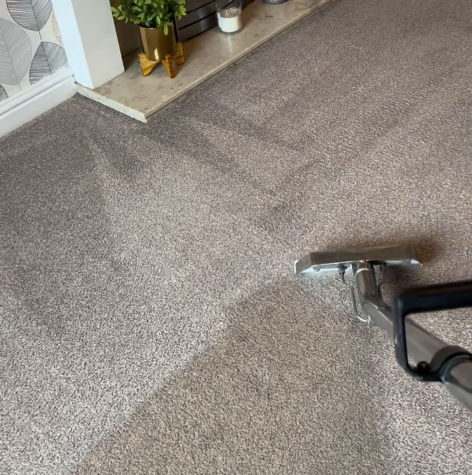 Professional carpet cleaning in progress
