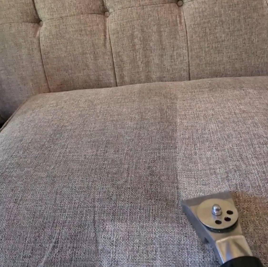 Carpet cleaning results